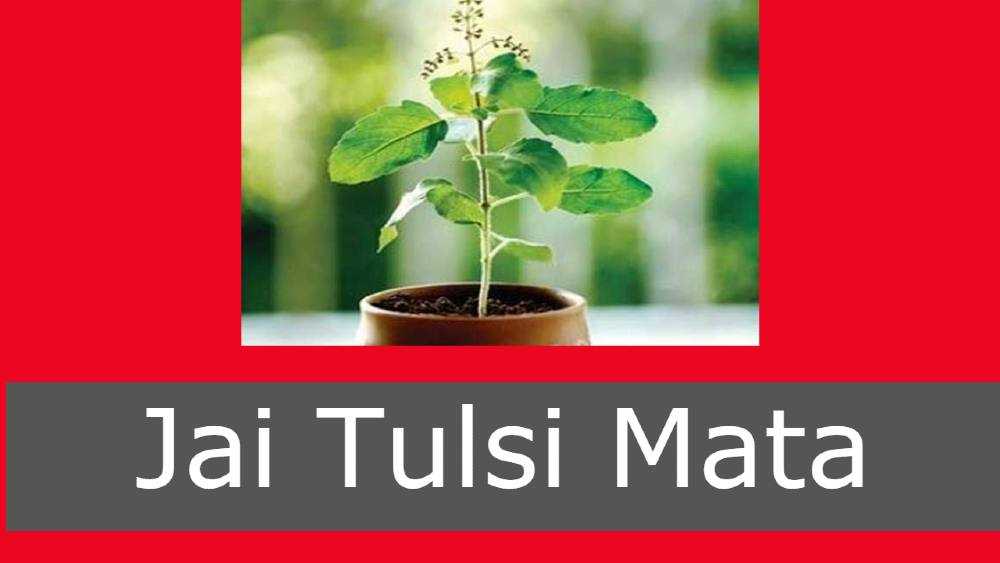 Tulsi Mata Ki Aarti