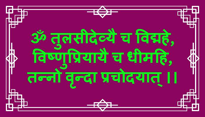 Tulsi Gayatri Mantra